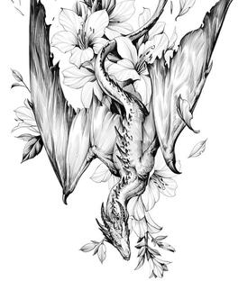 Dragon Tattoo Reference